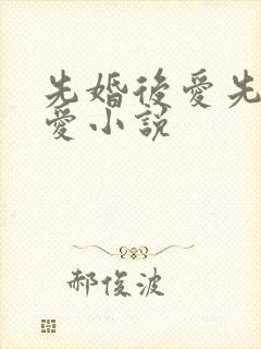 先婚后爱先婚后爱小说