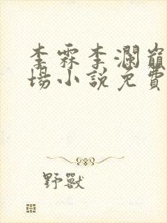 李霖李澜巅峰官场小说免费阅读封面