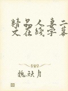 精品人妻二区中文在线字幕