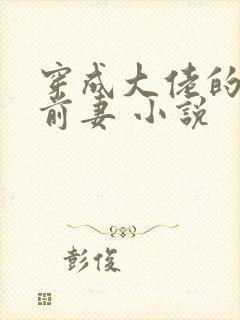 穿成大佬的私奔前妻 小说