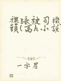 裸睡被司机玩奶头(高h小说