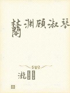 林渊顾淑琴笔趣阁封面