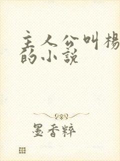 主人公叫杨小天的小说