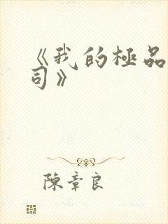 《我的极品女上司》封面