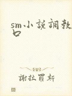 sm小说调教重口