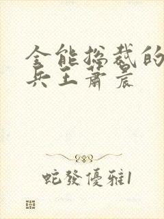 全能总裁的全能兵王萧晨