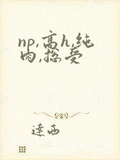 np,高h,纯肉,总受