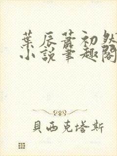 叶辰萧初然顶点小说笔趣阁封面