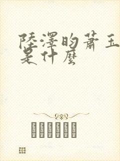 陆泽昀萧玉结局是什么