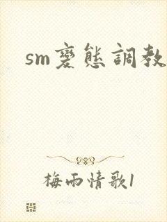 sm变态调教文