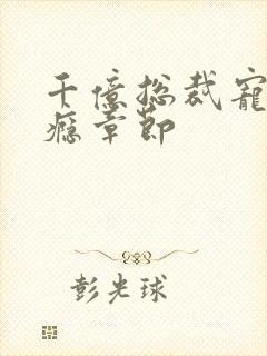 千亿总裁宠妻成瘾章节