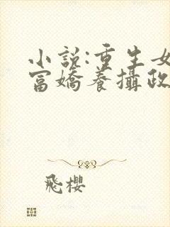 小说:重生女首富娇养摄政王封面