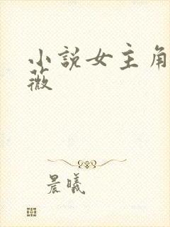 小说女主角叫沈薇