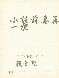 小说前妻再嫁我一次封面