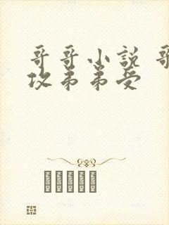 哥哥小说 哥哥攻弟弟受