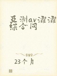 亚洲av涩涩涩综合网
