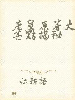 老舅原著大结局亮点揭秘