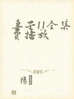 妻子11全集免费播放