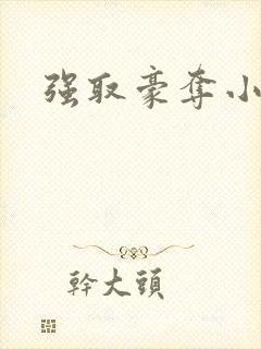 强取豪夺小说封面