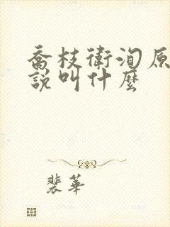 乔枝卫洵原著小说叫什么封面
