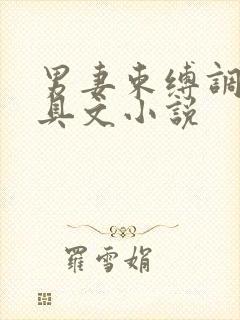男妻束缚调教道具文小说