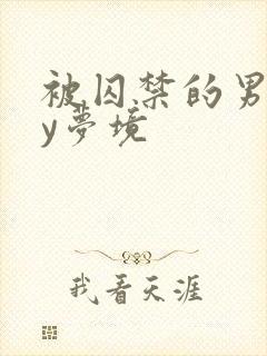 被囚禁的男人by梦境