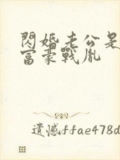 闪婚老公是千亿富豪战胤