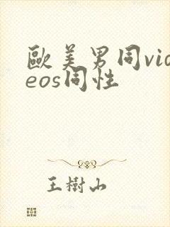 欧美男同videos同性