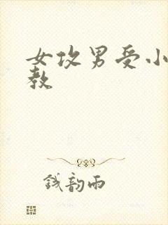 女攻男受小说调教