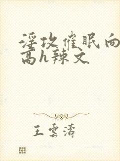 淫攻催眠向np高h辣文