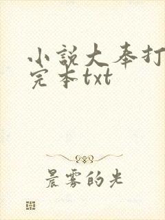 小说大奉打更人完本txt