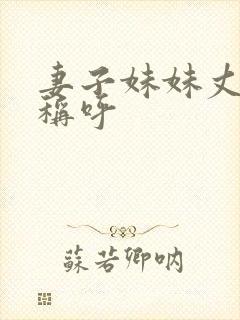 妻子妹妹丈夫的称呼封面