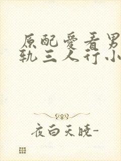 原配爱看男主出轨三人行小说封面