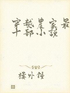 穿越农家最经典十部小说