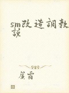 sm改造调教小说