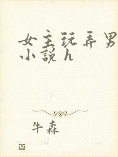 女主玩弄男人的小说 h