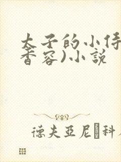 太子的小侍妾(香容)小说封面
