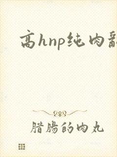 高hnp纯肉乱