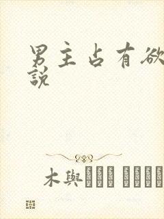 男主占有欲强小说