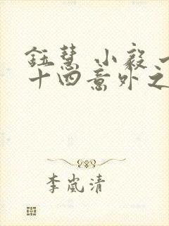 钰慧 小毅 七十四意外之喜