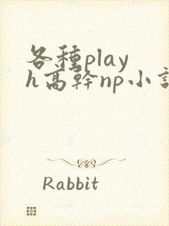 各种play h高干np小说