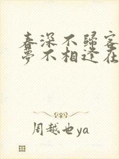 春深不归客,清梦不相逢在线阅读