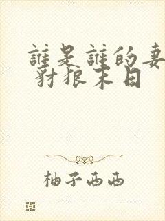 谁是谁的妻小说 豺狼末日
