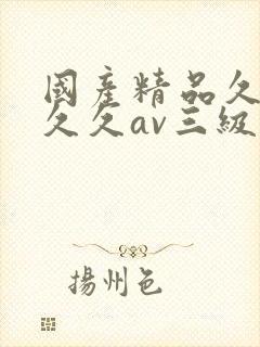 国产精品久久久久久av三级封面