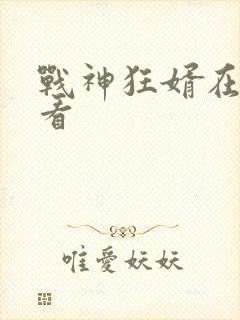 战神狂婿在线观看