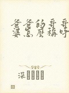 爸爸的哥哥的老婆怎么称呼?