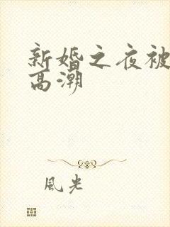 新婚之夜被躁b高潮