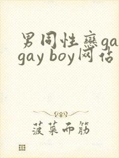 男同性恋gaygay boy网站