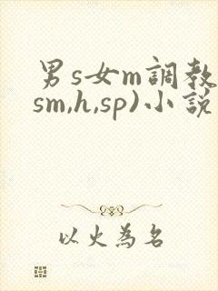 男s女m调教(sm,h,sp)小说