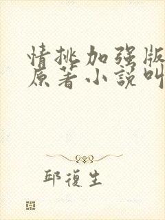情挑加强版静心原著小说叫什么名字